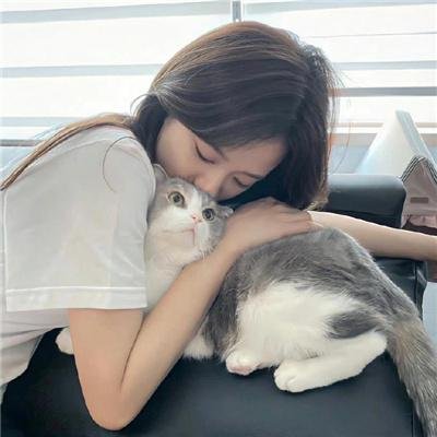 天网情网